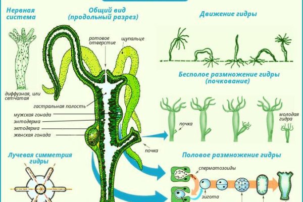 Kraken пользователь не найден при входе