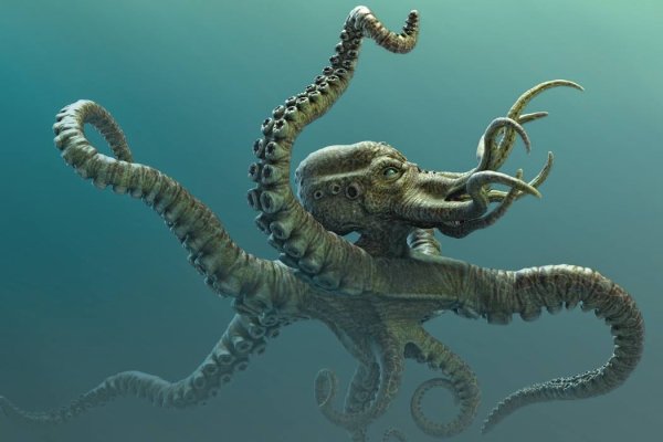 Kraken 12at