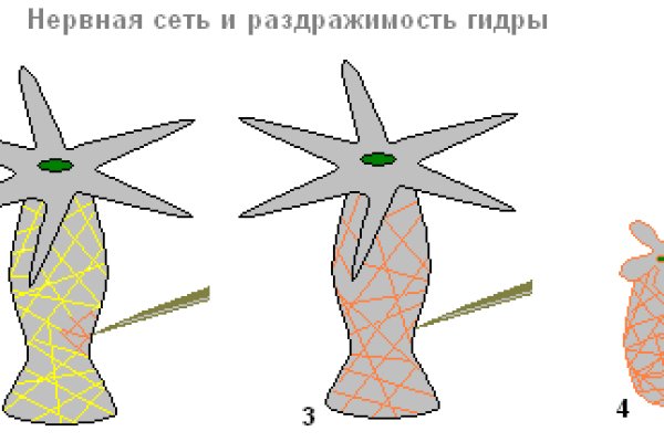 Кракен 12 at