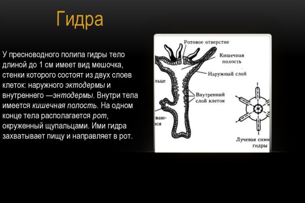 Кракен современный даркнет маркетплейс